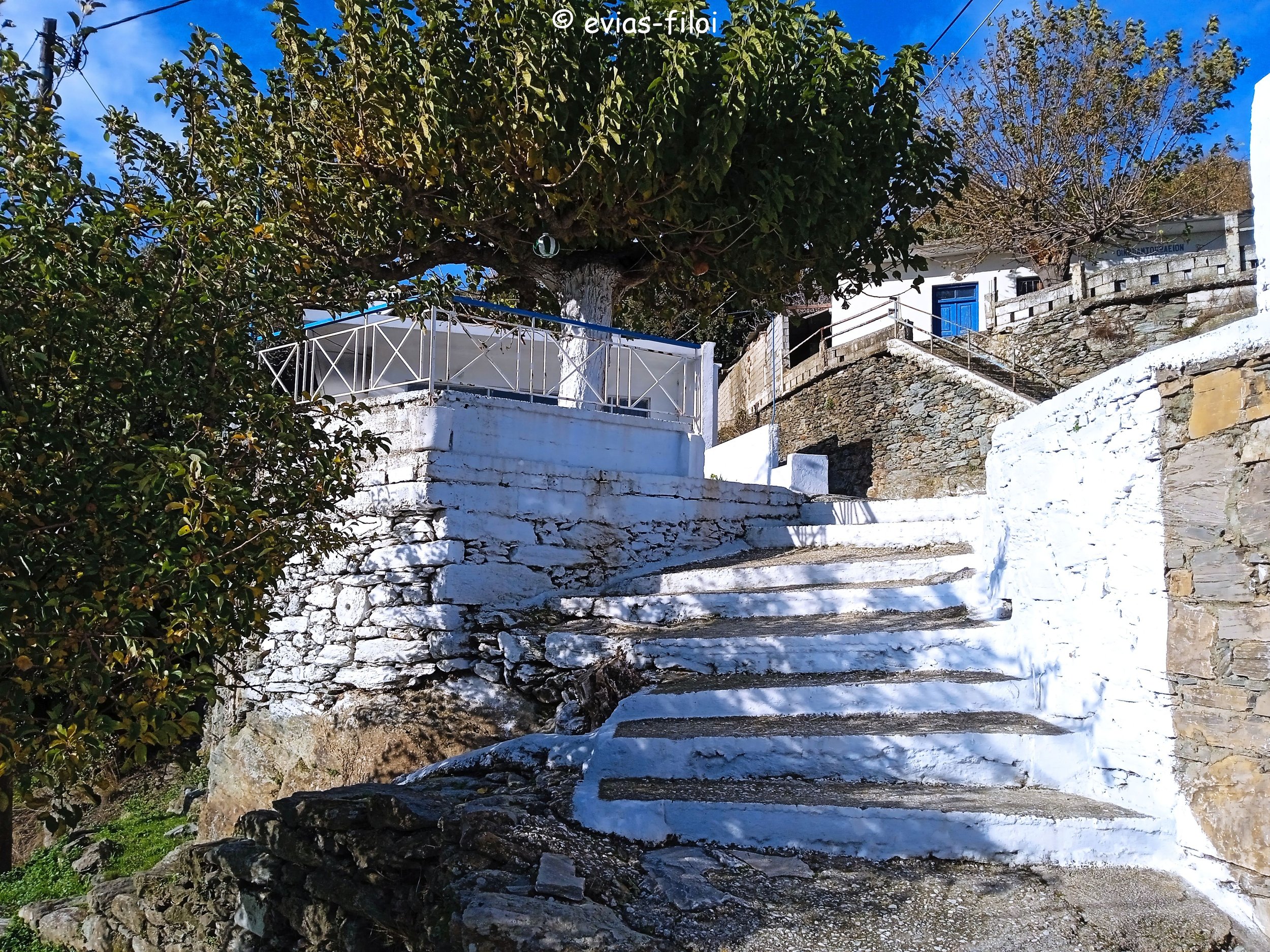 IMG_20231210_140543